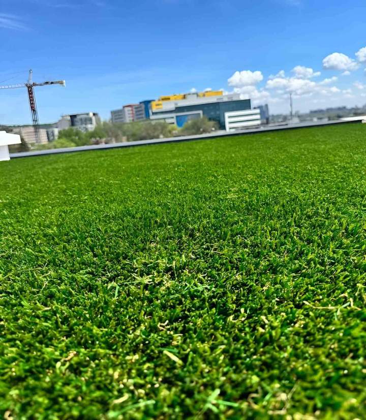 Transformation d'espace inutilisé en une terrasse verdoyante